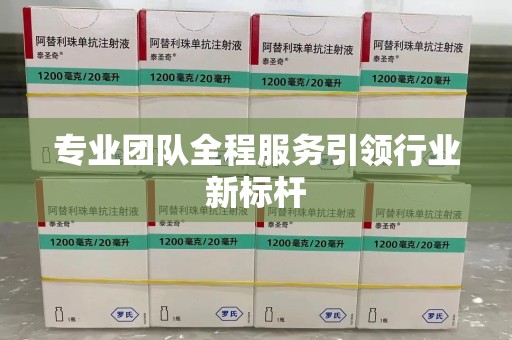 重庆专业团队全程服务引领行业新标杆
